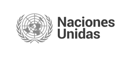 NACIONES UNIDAS LOGO