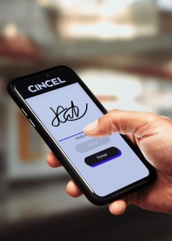 Galeria - Móvil - Imagenes - Branding CINCEL - Público